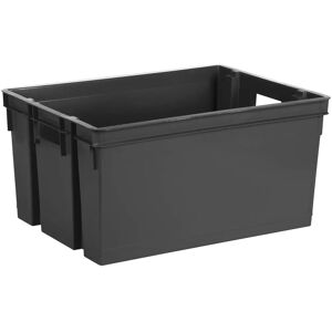 Vassoio di Stoccaggio EDA 50 L - Con Manici Vassoio di Stoccaggio EDA 50 L - Con Manici