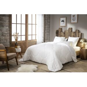 Abeil 15000000538 Piumone Leggero Dolcezza Infinita Calda - Parure Abeil 15000000538 Piumone Leggero Dolcezza Infinita Calda - Parure