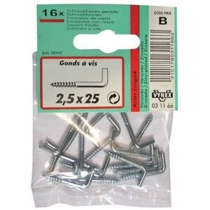 Gonds en acier zingué VYNEX - 2,5x25mm, Pack de 16 - Publicité Gonds en acier zingué VYNEX - 2,5x25mm, Pack de 16 - Publicité