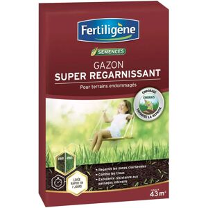 Fertiligene Rénovation de Gazon - 875 G - Pour réparation de pelouses endommagées - Publicité Fertiligene Rénovation de Gazon - 875 G - Pour réparation de pelouses endommagées - Publicité