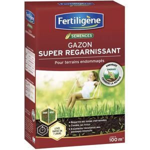 Mélange de Rénovation de Gazon Fertiligene - 2kg pour 100m² - Jardin & Pelouse - Publicité Mélange de Rénovation de Gazon Fertiligene - 2kg pour 100m² - Jardin & Pelouse - Publicité