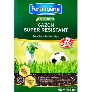 FERTILIGENE - Gazon Résistant de Haute Qualité - 40m² - 1kg - Publicité FERTILIGENE - Gazon Résistant de Haute Qualité - 40m² - 1kg - Publicité