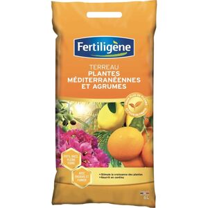 Fertiligene Fertilisant pour Agrumes et Plantes Méditerranéennes - 6L - Publicité Fertiligene Fertilisant pour Agrumes et Plantes Méditerranéennes - 6L - Publicité