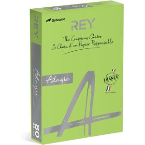Papier de Impression ADAGIO - Vert Printemps - A4 80g - Pack de 16 - Publicité Papier de Impression ADAGIO - Vert Printemps - A4 80g - Pack de 16 - Publicité