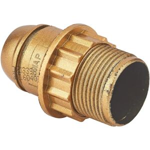 DEBFLEX - E14 - Goud - Lamp fittingen DEBFLEX - E14 - Goud - Lamp fittingen