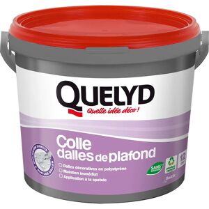 Colle pour dalles de plafond Quelyd - Plafond - 4kg Colle pour dalles de plafond Quelyd - Plafond - 4kg