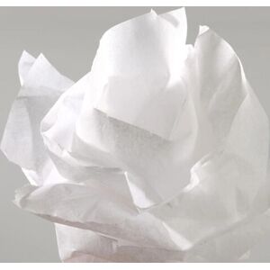 Canson C200992659 Papier Crépe Blanc - crepe paper Canson C200992659 Papier Crépe Blanc - crepe paper