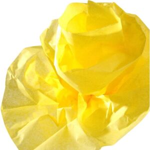 Papier de soie Canson C200992660 - Type de produit Papier de soie Canson C200992660 - Type de produit