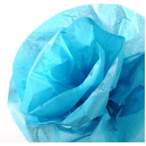 Papier de soie Canson - 0,5x5m Turquoise - Pack de 8 - Papier - Publicité Papier de soie Canson - 0,5x5m Turquoise - Pack de 8 - Papier - Publicité