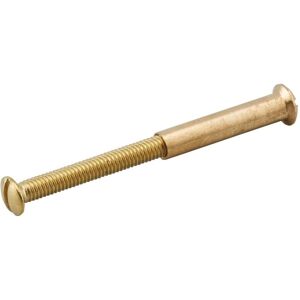 Fixation de porte intérieure en or THIRARD - 4x45mm - Publicité Fixation de porte intérieure en or THIRARD - 4x45mm - Publicité