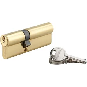 Thirard - Cylindre de Serrure 35 x 55 mm 3 clés - Profil européen laiton - 5 goupilles - Lock cylinder - Publicité Thirard - Cylindre de Serrure 35 x 55 mm 3 clés - Profil européen laiton - 5 goupilles - Lock cylinder - Publicité