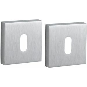 FROSIO BORTOLO Modena 50X50 Satijn Chrome Deurbescherming FROSIO BORTOLO Modena 50X50 Satijn Chrome Deurbescherming