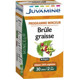 Juvamine Brûle-Graisse Thé Vert - Complément Végétal - 60 Gélules - Publicité Juvamine Brûle-Graisse Thé Vert - Complément Végétal - 60 Gélules - Publicité