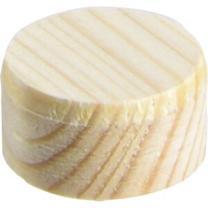 Bosch 2609255321 Holzstopfen - 20x10mm - 40 Stück Bosch 2609255321 Holzstopfen - 20x10mm - 40 Stück