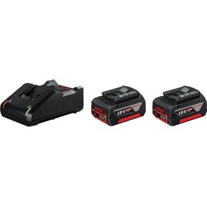Bosch 1600 A01 9S0 Cordless Tool Battery & Charger Set - Power Tool Battery & Charger Bosch 1600 A01 9S0 Cordless Tool Battery & Charger Set - Power Tool Battery & Charger