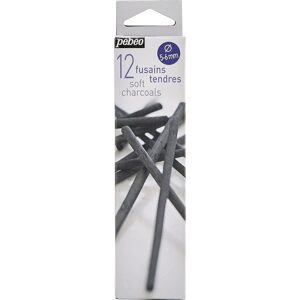 Pébéo 383100 Crayons au graphite doux - Crayons de charbon Pébéo 383100 Crayons au graphite doux - Crayons de charbon