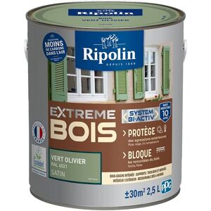 Peinture Ripolin Vert Olive - Satinée - 2,5L - Peinture - Publicité Peinture Ripolin Vert Olive - Satinée - 2,5L - Peinture - Publicité