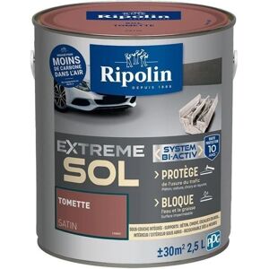 Peinture pour sols intérieurs et extérieurs Ripolin - Satin 2,5L - Peinture - Publicité Peinture pour sols intérieurs et extérieurs Ripolin - Satin 2,5L - Peinture - Publicité