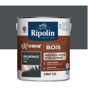 Peinture Ripolin Gris Anthracite Intérieur Extérieur - Peinture - Publicité Peinture Ripolin Gris Anthracite Intérieur Extérieur - Peinture - Publicité