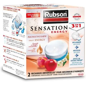 Recharge Absorbeur d'Humidité Rubson - 2 Tablettes Recharge Absorbeur d'Humidité Rubson - 2 Tablettes