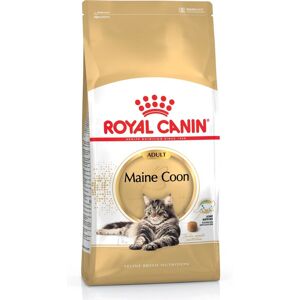 Royal Canin Feline Breed Nutrition Maine Coon Adult dry food - 2kg Royal Canin Feline Breed Nutrition Maine Coon Adult dry food - 2kg