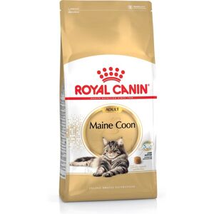 Royal Canin Maine Coon Adult Trockenfutter - Katzenfutter Royal Canin Maine Coon Adult Trockenfutter - Katzenfutter