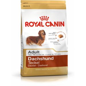 Royal Canin Dachshund Adult - Breed-Specific Dog Food Royal Canin Dachshund Adult - Breed-Specific Dog Food