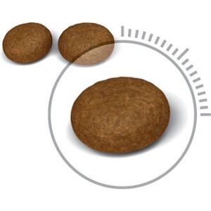 Royal Canin Feline Care Nutrition Hair & Skin dry food - 400 g Royal Canin Feline Care Nutrition Hair & Skin dry food - 400 g