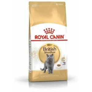 Royal Canin Feline Breed Nutrition British Shorthair Adult dry food - British Shorthair Adult 4kg Royal Canin Feline Breed Nutrition British Shorthair Adult dry food - British Shorthair Adult 4kg