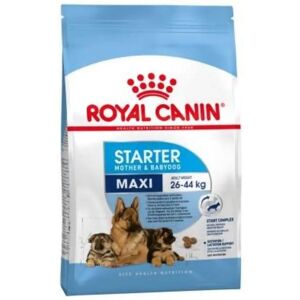 Royal Canin Maxi Starter Mother & Babydog - Large Breed Puppy Food Royal Canin Maxi Starter Mother & Babydog - Large Breed Puppy Food