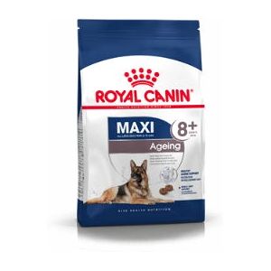Royal Canin Maxi Ageing 8+ Nourriture pour grands chiens - Soutien & Équilibre - Publicité Royal Canin Maxi Ageing 8+ Nourriture pour grands chiens - Soutien & Équilibre - Publicité