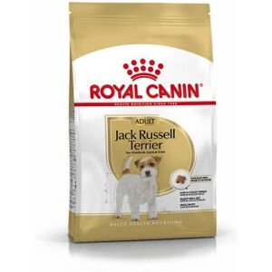 Royal Canin Race Jack Russell Terrier Adulte Croquettes - 3kg - Publicité Royal Canin Race Jack Russell Terrier Adulte Croquettes - 3kg - Publicité