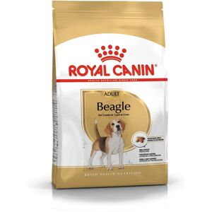 Royal Canin Breed Beagle Adult Cibo Secco - 3kg Royal Canin Breed Beagle Adult Cibo Secco - 3kg