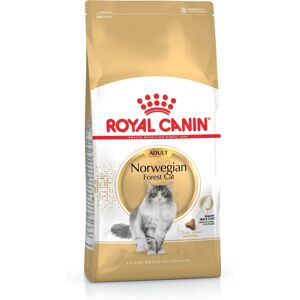 Royal Canin Nourriture Sèche Chat Forêt Norvégienne - 2kg - Publicité Royal Canin Nourriture Sèche Chat Forêt Norvégienne - 2kg - Publicité