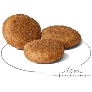 Royal Canin Tørrfôr for mellomstore voksne hunder - 30Kg Royal Canin Tørrfôr for mellomstore voksne hunder - 30Kg