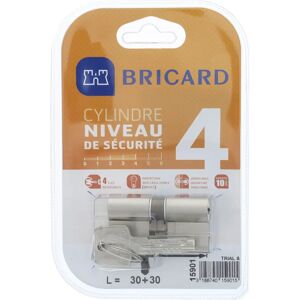 Bricard 15901 Nikkel Cilinder Dubbel Ingang Veiligheidsniveau 4 Bricard 15901 Nikkel Cilinder Dubbel Ingang Veiligheidsniveau 4