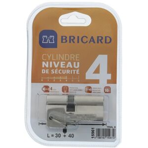 Bricard Cylindre 15961 Nickel 30+40mm Niveau de Sécurité 4 - Double Insertion Bricard Cylindre 15961 Nickel 30+40mm Niveau de Sécurité 4 - Double Insertion