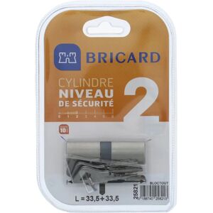 BRICARD 25821 Nikkel Cilinder - Beveiligingsniveau 2 BRICARD 25821 Nikkel Cilinder - Beveiligingsniveau 2
