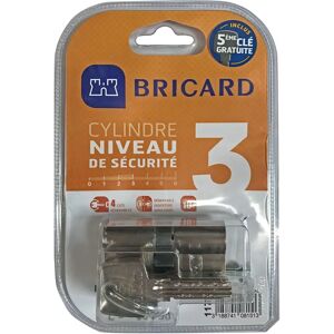 Bricard - Disengageable Astral Cylinder 2 Entrances 30 + 40 mm 5 Keys Bricard - Disengageable Astral Cylinder 2 Entrances 30 + 40 mm 5 Keys