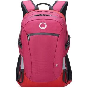 Zaino Delsey Paris Nomad M - Ergonomico per Escursionismo & Sport Zaino Delsey Paris Nomad M - Ergonomico per Escursionismo & Sport