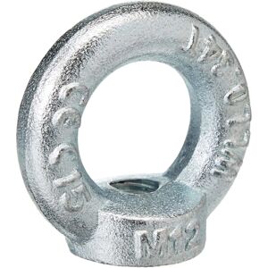 Anneau de levage Chapuis 901/12Z Acier - M12 - 240kg - Usage professionnel Anneau de levage Chapuis 901/12Z Acier - M12 - 240kg - Usage professionnel