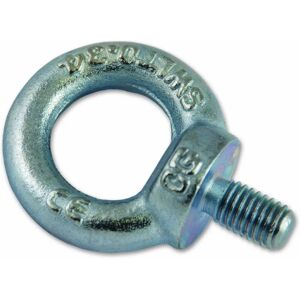 Chapuis 900/16Z Anneau de Levage Mâle - Usage Industriel Chapuis 900/16Z Anneau de Levage Mâle - Usage Industriel