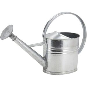 Aubry Gaspard GAR 1050 Arrosoir - 10 litres - Publicité Aubry Gaspard GAR 1050 Arrosoir - 10 litres - Publicité
