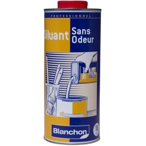 Diluant Sans Odeur Blanchon - Diluyente pour Peinture Diluant Sans Odeur Blanchon - Diluyente pour Peinture