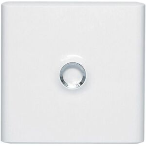 Legrand 401331 Porte Blanche pour Boîte Électrique - Accessoire - Publicité Legrand 401331 Porte Blanche pour Boîte Électrique - Accessoire - Publicité