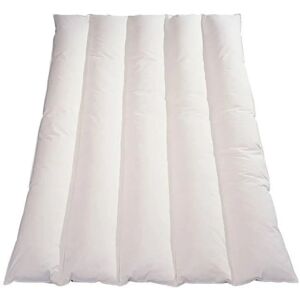 Duvet Microfibre Léger Blanreve - 240x260cm - Publicité Duvet Microfibre Léger Blanreve - 240x260cm - Publicité