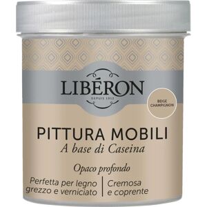 Acrilico Mobilia alla Caseina Beige champignon - Tipo di Mobili Acrilico Mobilia alla Caseina Beige champignon - Tipo di Mobili