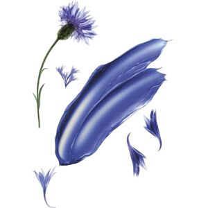 Klorane Anti-Yellowing Gray Blond Hair Shampoo with Organic Centaury (400ml) Klorane Anti-Yellowing Gray Blond Hair Shampoo with Organic Centaury (400ml)