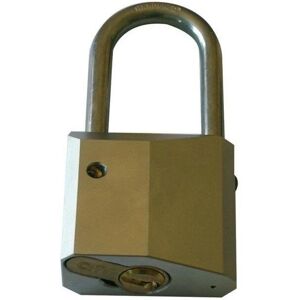 ISEO Cavers - Cadenas en Acier Inoxydable pour Demi-Cylindre - 54mm - Publicité ISEO Cavers - Cadenas en Acier Inoxydable pour Demi-Cylindre - 54mm - Publicité
