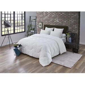 Couette Dodo Maxicon Fort Ultra - Chaude, Légère, 200x140cm Couette Dodo Maxicon Fort Ultra - Chaude, Légère, 200x140cm
